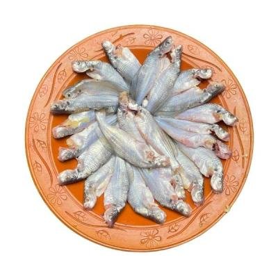 গুলসা টেংরা